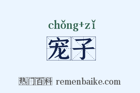 宠子是什么意思的图片